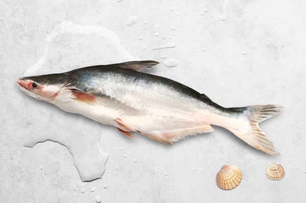 Pangasius Fish (पंगेसियस / बासा)