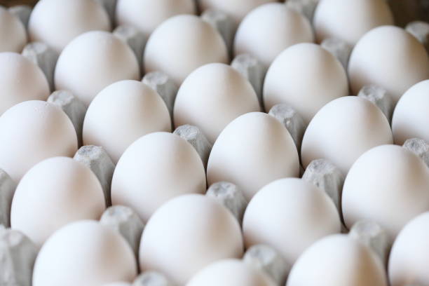 White Chicken Eggs