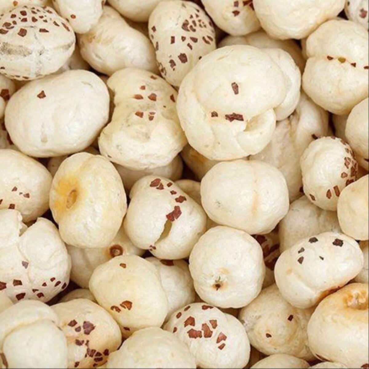 Fox Nuts / Makhana (मखाना)