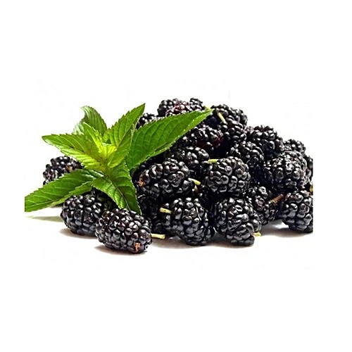 Blackberries (ब्लॅकबेरी)