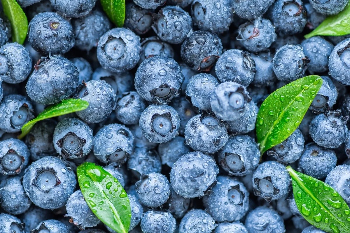 Blueberries (ब्लूबेरी)