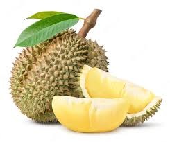Durian (ड्युरियन)