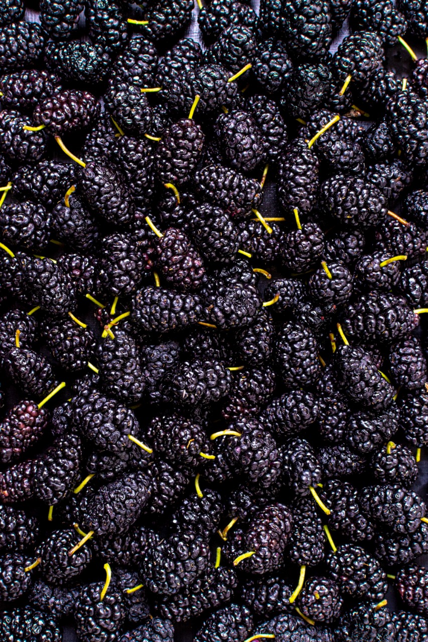 Mulberries (शहतूत)