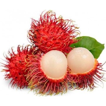 Rambutan (रंबुटान)