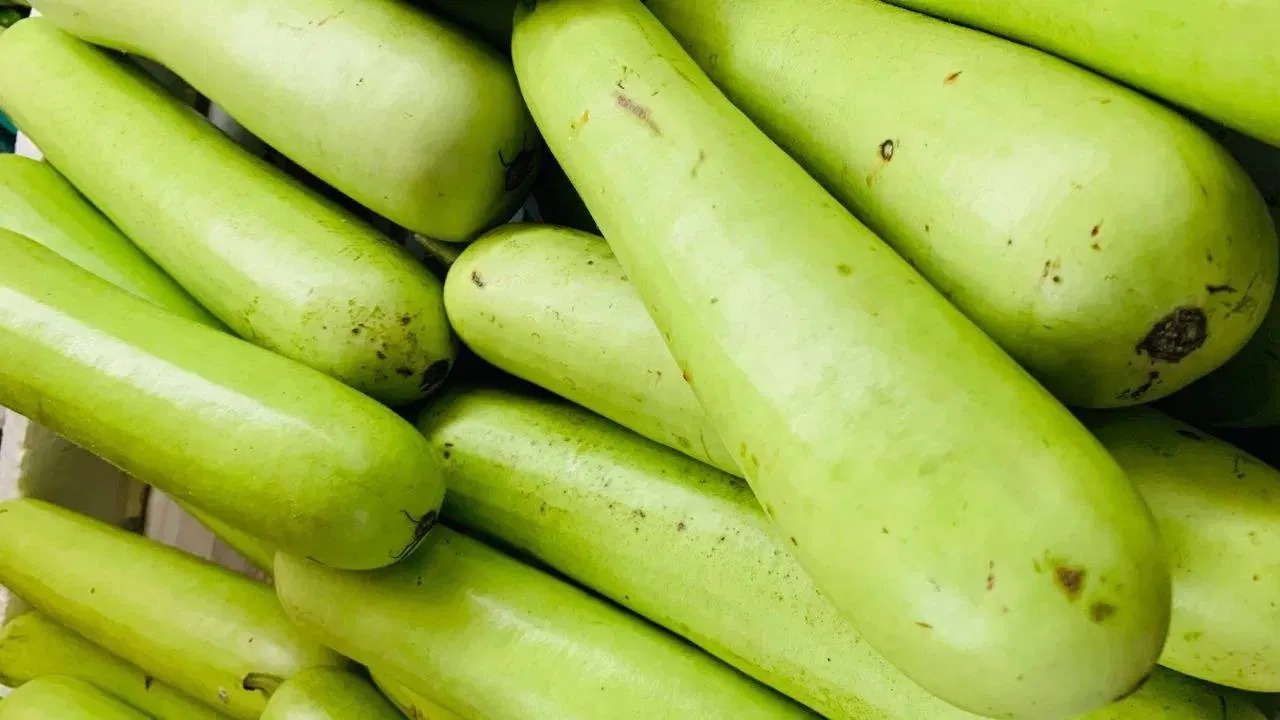 Bottle Gourd (दुधी भोपळा)
