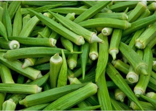 Okra / Lady Finger (भेंडी)