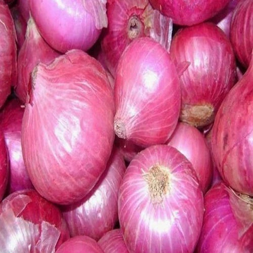 Onion (कांदा)