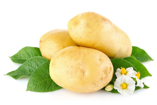 Potato (बटाटा)