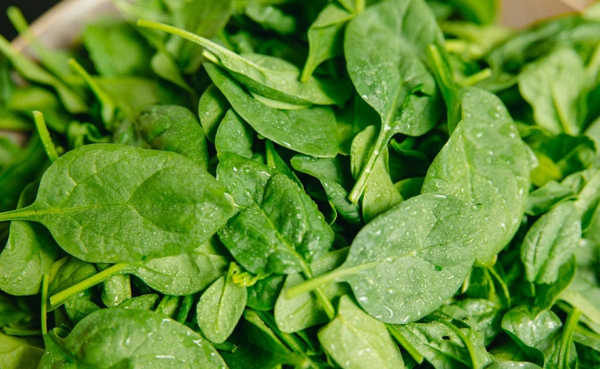 Spinach (पालक)