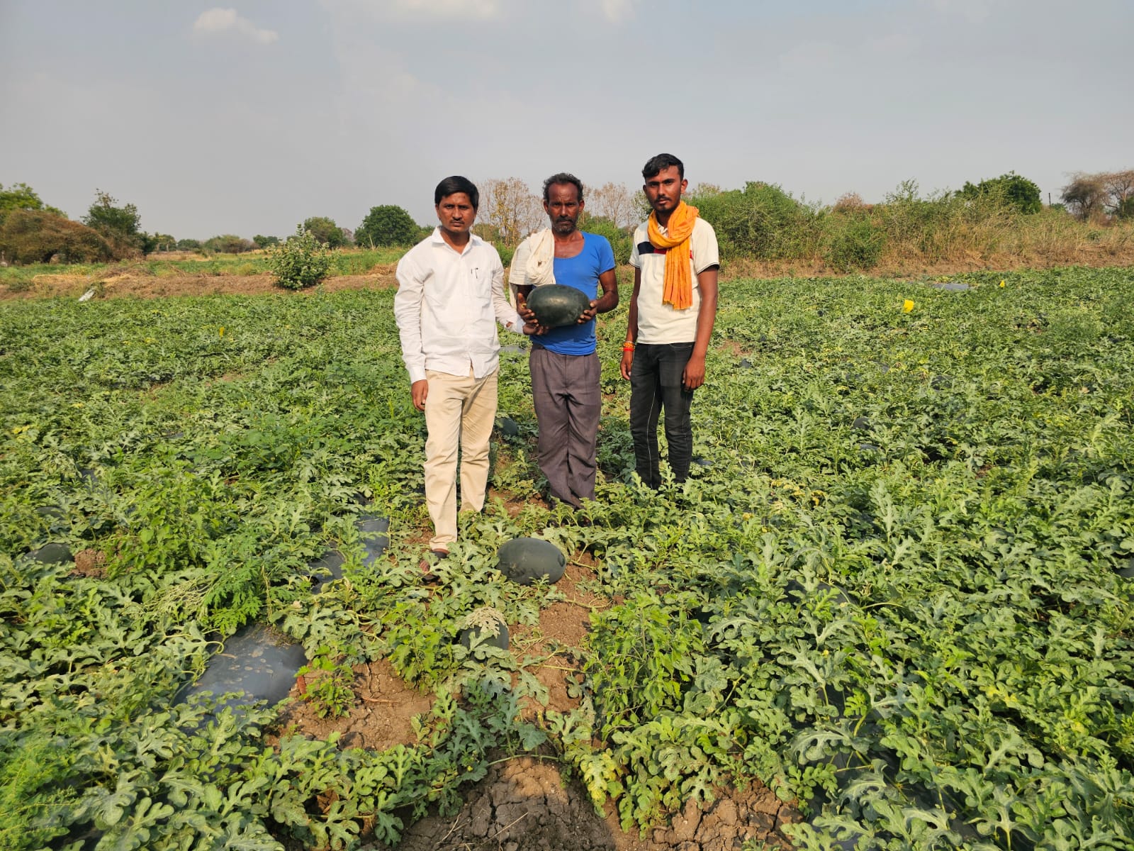Sustainable Farming