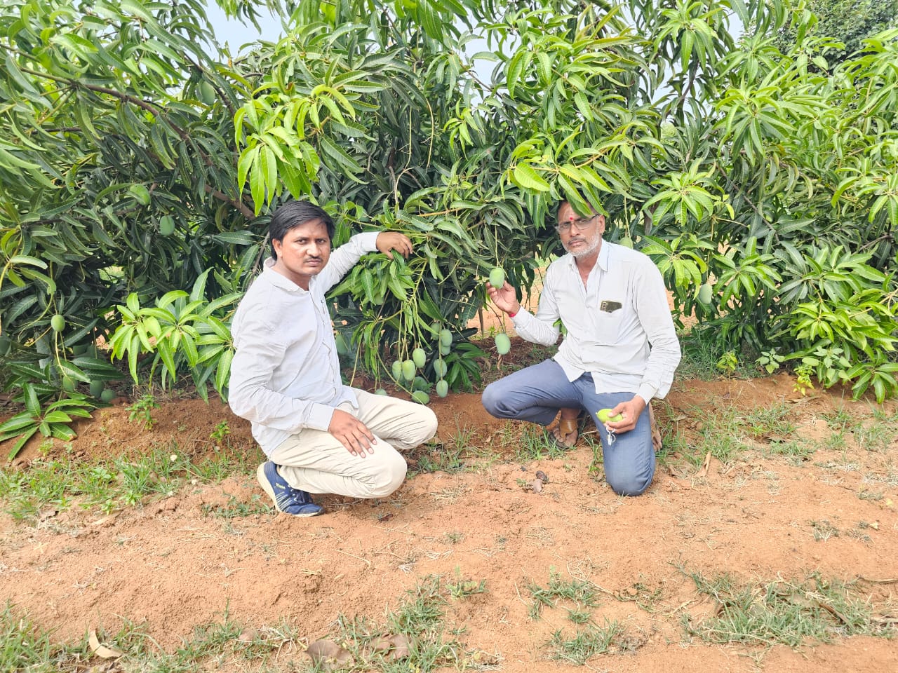 Plant Nursery