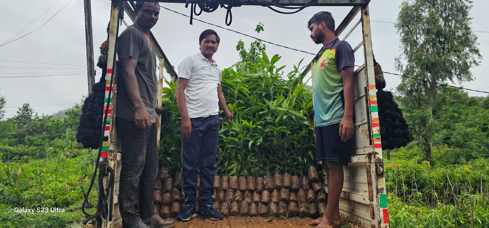 Plant Nursery