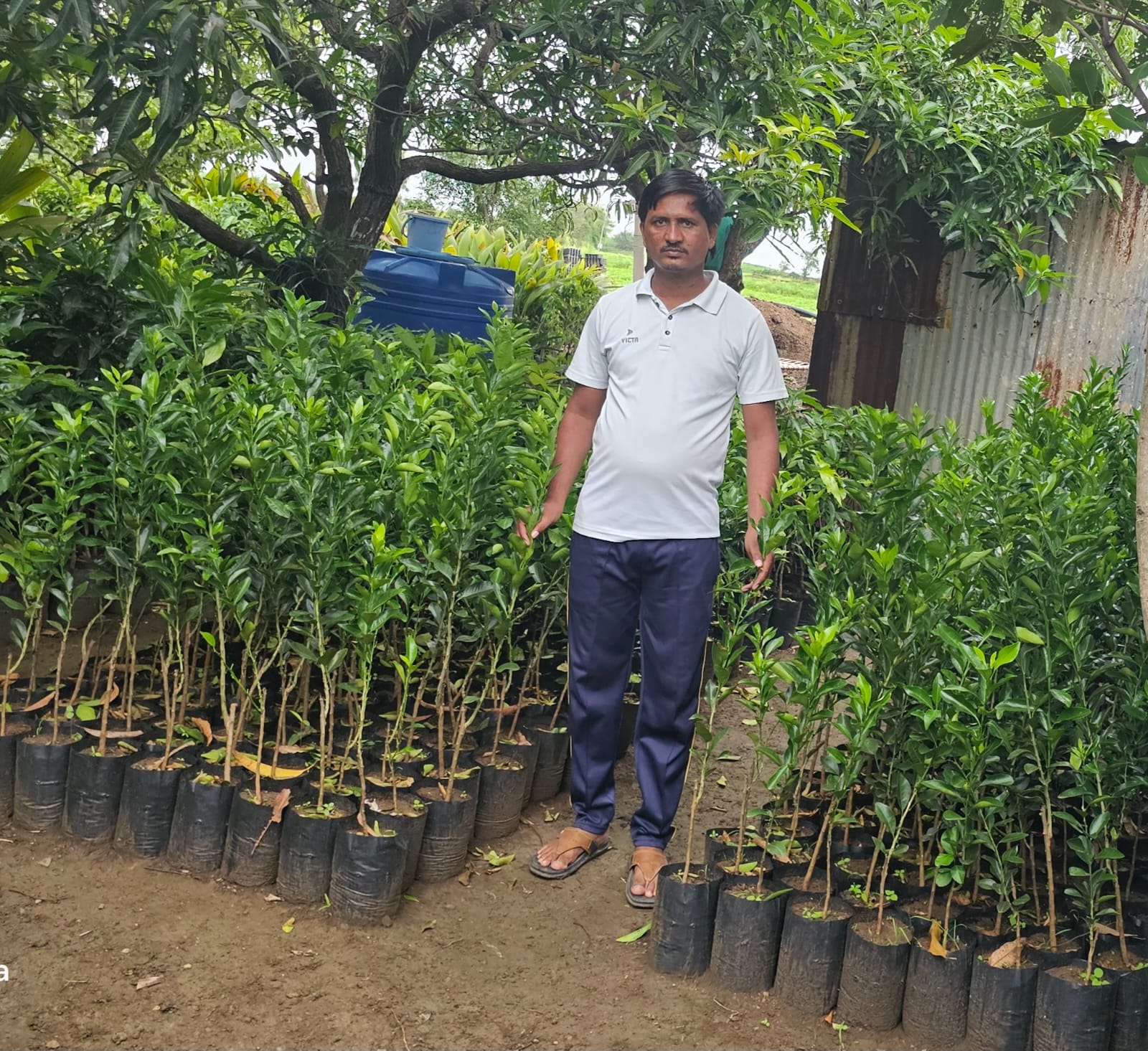 Plant Nursery