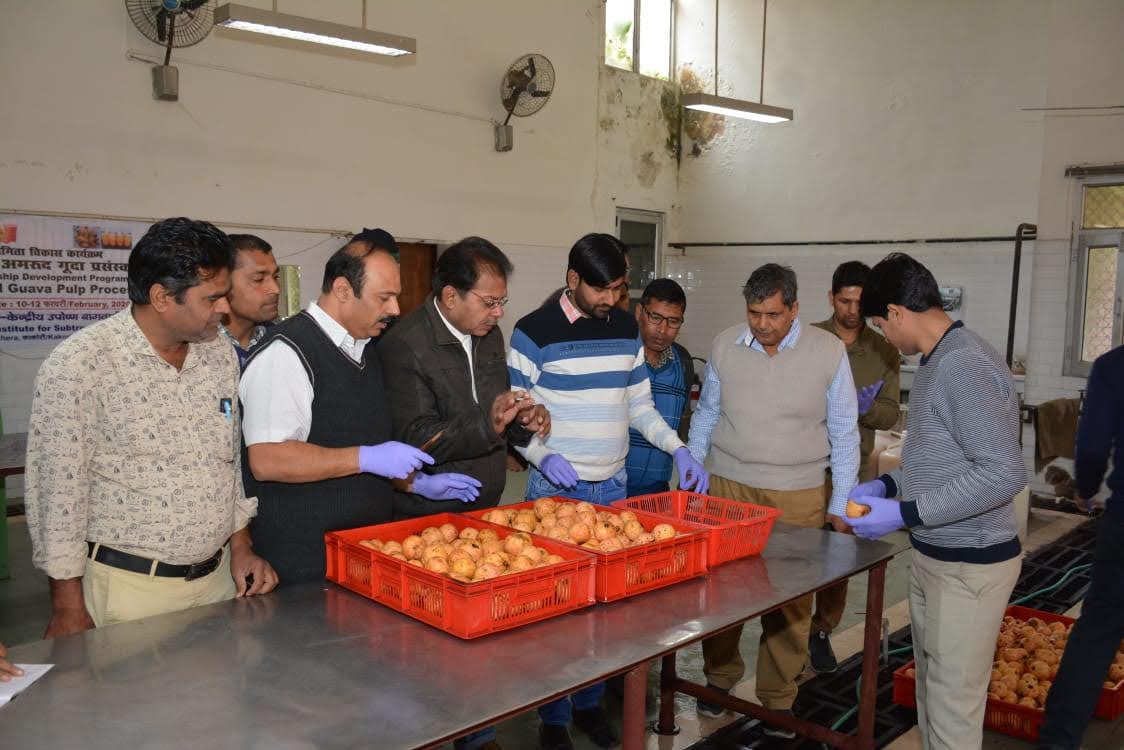 Pulp Processing Unit