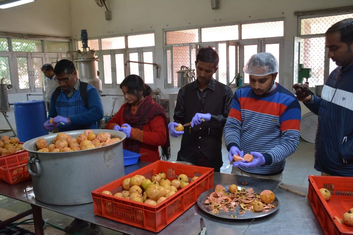 Pulp Processing Unit