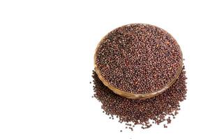 Mustard Seeds (मोहरी)
