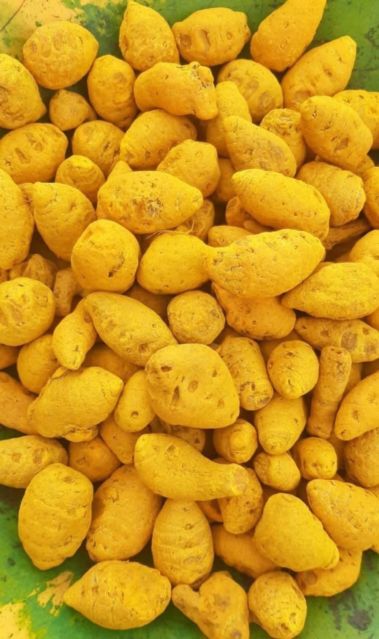 Turmeric (हळदी)