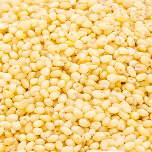 Proso Millet (भगर / समई)
