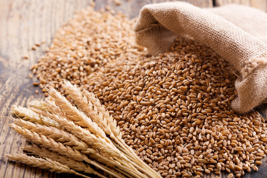 Wheat (गेहूं)
