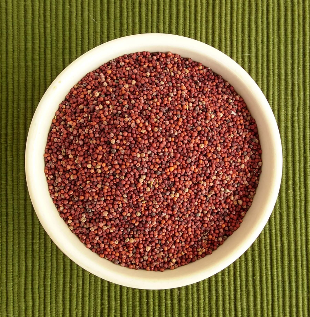 Ragi (Finger Millet / रागी)